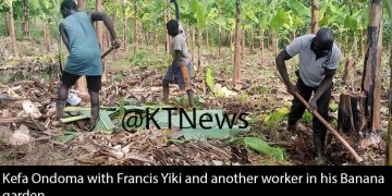 How Primary Four Leaver Has Become a Model Farmer in Arua