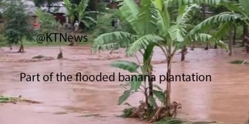 Sino Truck Driver Dies in Mbale City Floods