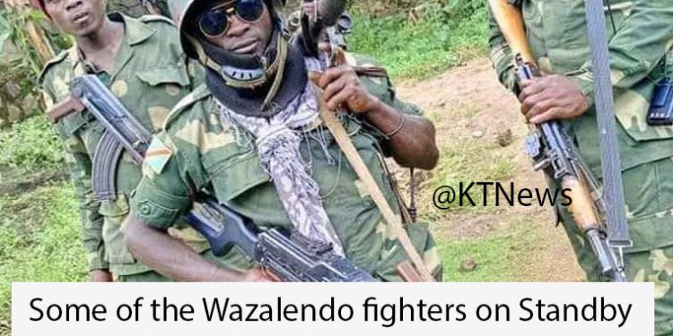 FARDC Attacks M23 Positions in Lubero Territory