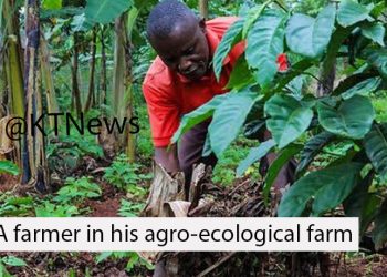 FAO Pushes for Biodiversity Friendly Policies for Organic Farming, Traditional Food Systems