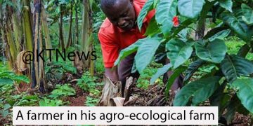 FAO Pushes for Biodiversity Friendly Policies for Organic Farming, Traditional Food Systems