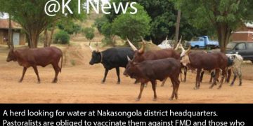 UPDF Receives UGX2.5B FMD Vaccine Manufacturing Equipment