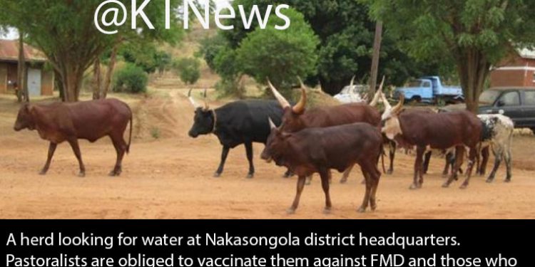 UPDF Receives UGX2.5B FMD Vaccine Manufacturing Equipment