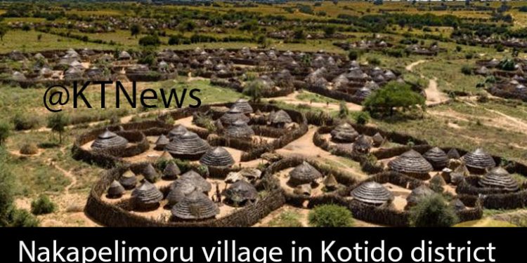 Gov’t to Compensate Victims of Human-Wildlife Conflict in Karamoja