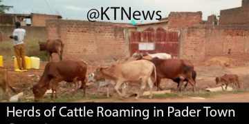 Pader District to Vaccinate 17,000 Livestock