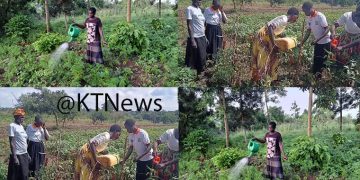 Fast Maturing Crops, Plastic Irrigation: Lira Women’s Answer to Climate Change