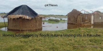 Flood Submerge 300 Homesteads in Kikuube