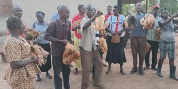 Kamdini Ghetto Youths Are Rejoicing On Poultry Enterprise