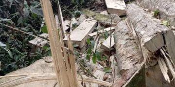 Three NFA Officials Arrested for Mabira Forest Destruction