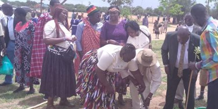 Kotido RDC Advocates Bio Gas Training Alongside Tree Planting to Fight Environmental Degradation