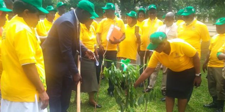 Mulago Embarks on New Tree Plantating Drive