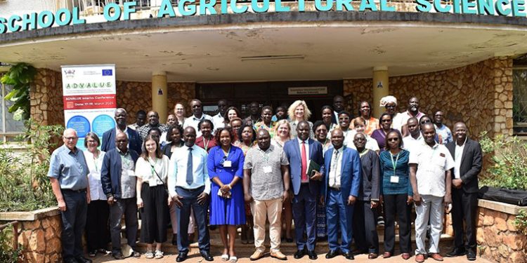 New Project to Improve Relevance of CAES PhD Graduates