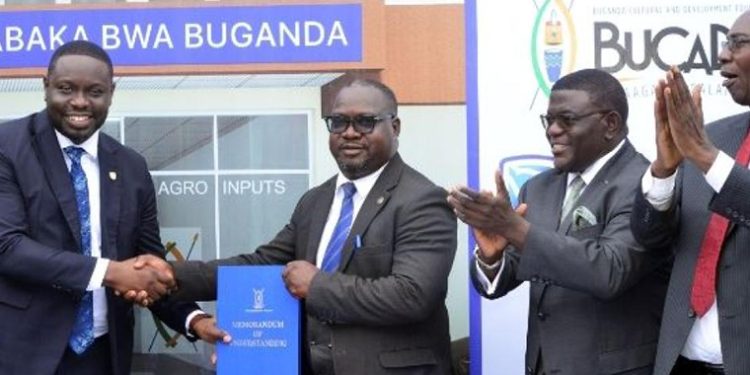 Stanbic Bank Joins Coffee Promotion in Buganda