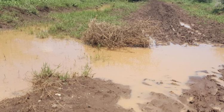 Heavy Rains Wash Away Lokopo -Matany Road in Napak