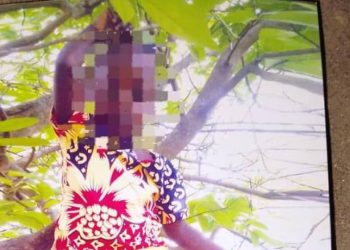 Five-Year-Old Girl Found Murdered in Bush