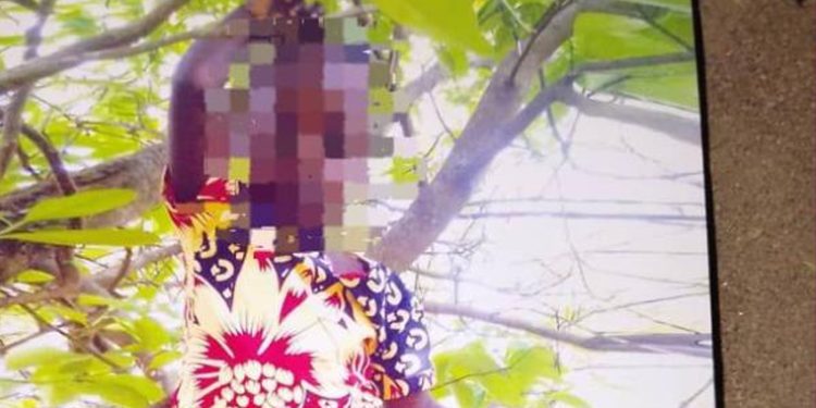Five-Year-Old Girl Found Murdered in Bush