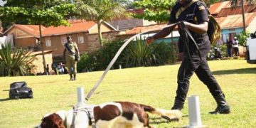 34 Police Officers Complete Sniffer Dog Handling Course