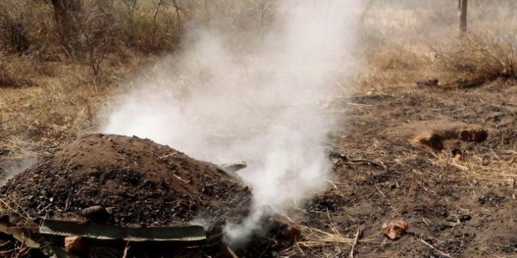 Deforestation, Wetland Encroachment Worries Amuria Leaders