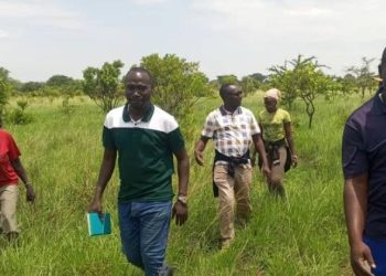 Ngariam Residents Donate Land for Cocoa, Coffee Production