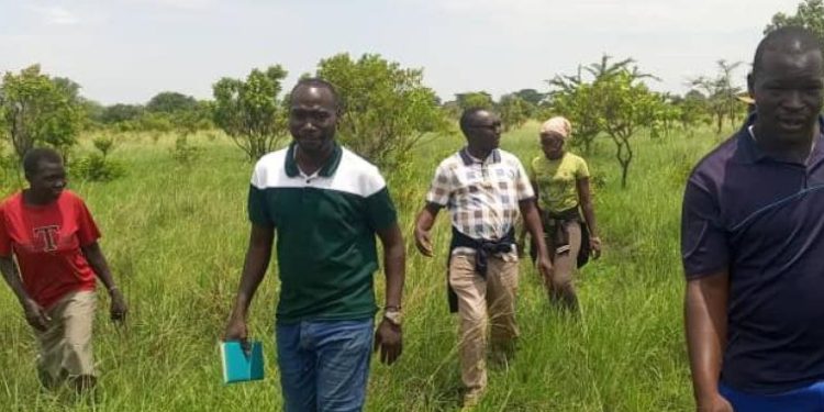 Ngariam Residents Donate Land for Cocoa, Coffee Production