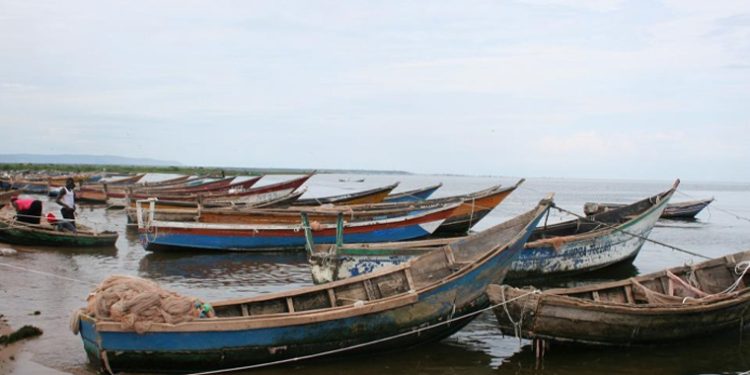Leaders, Fishermen Demand Heightened Security on Lake Albert