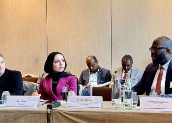 Gates Foundation Grants $5m To Axmed For Maternity Products In Africa