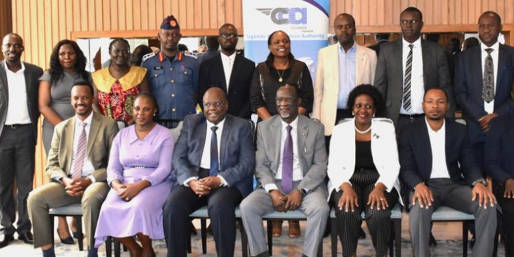 Team to Combat Bird Strikes at Airports Formed