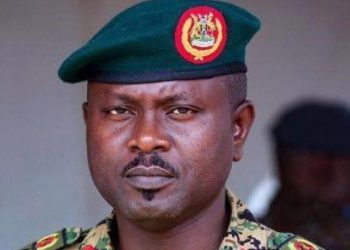 UPDF Claims Germany Ambassador Is Involved In Clandestine Activities