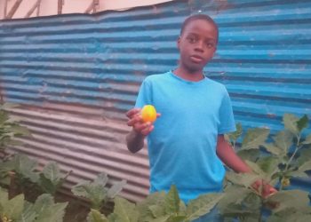 Kamokya Boy Grows Vegetables For School Fees