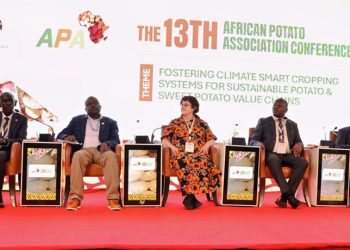 Africa Potato Conference Pushes for Urgent Investment in Sustainable Potato Farming