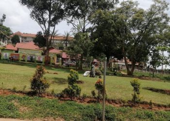 Masaka City Restores Mayor’s Gardens to Heighten Environmental Conservation
