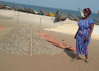 Masaka Silver Fish Quality Set to Improve With Sh714m Solar Drying Facility