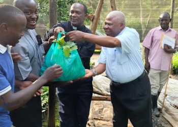 Kasana-Luwero Diocese’s Coffee Campaign Gets Major Boost with 30,000 Seedling Donation