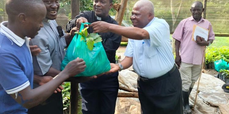 Kasana-Luwero Diocese’s Coffee Campaign Gets Major Boost with 30,000 Seedling Donation