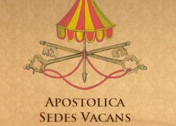 17 African Cardinals to Elect New Pope as Conclave Opens