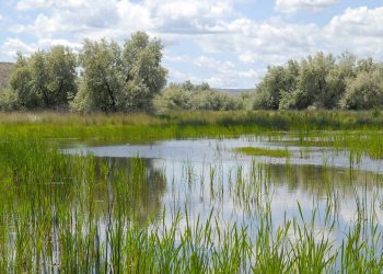 Oyam Warns Communities Against Settling Near Wetlands as Flood Risk Increases