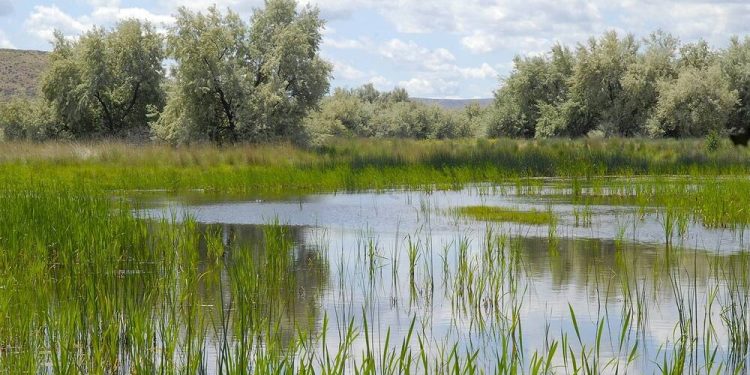 Oyam Warns Communities Against Settling Near Wetlands as Flood Risk Increases