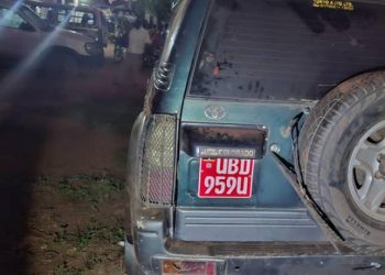 Two Arrested in Kaliro Over Cattle Theft