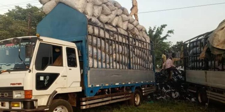 Lango RDCs Accuse Security Agencies of Aiding Illegal Charcoal Trade