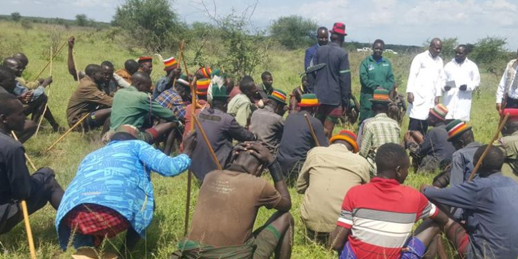 Moroto District Launches Mass Livestock Vaccination Campaign to Combat Foot and Mouth Disease
