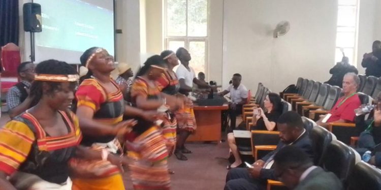 Music Educators Urge Schools to Embrace Music for Cultural Identity Preservation