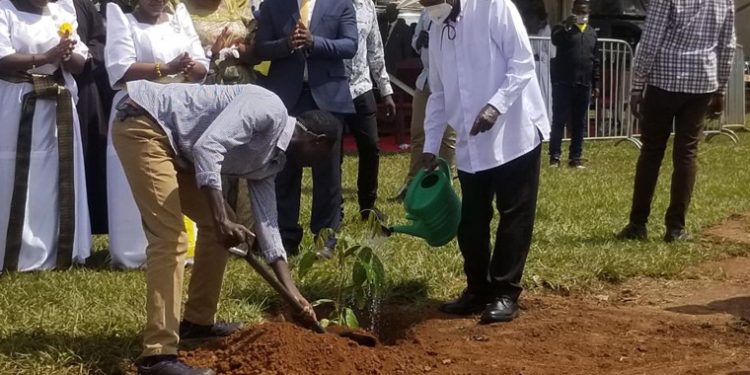 Museveni Pushes for Voluntary Exit from Wetlands, Advocates Irrigation and Exposure Trips