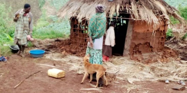 Sebei NRM Aspirants Pledge to Resolve Longstanding Mt. Elgon Land Conflict