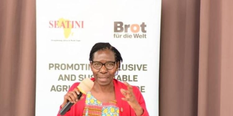 African Govts Urged to Be Strong in Trade Negotiations with EU