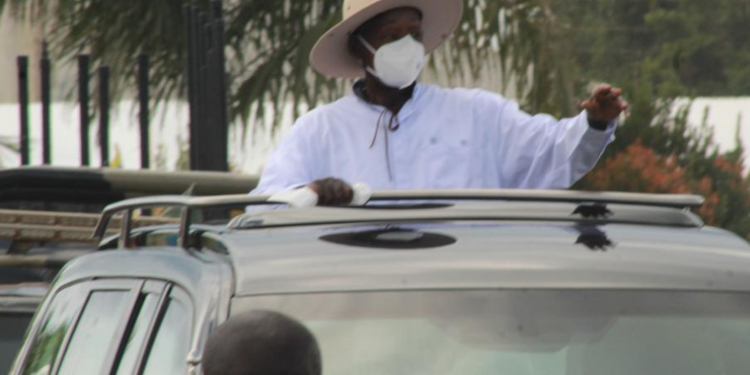 Museveni Urges Youth to Drive Economic Transformation through Commercial Agriculture