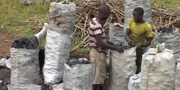 Debates on Cooking Energy and the Dilemmas in East Africa Continue