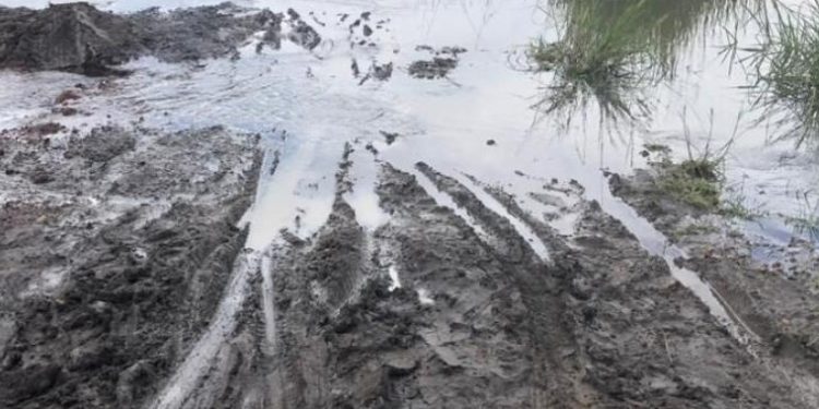 Floods Ravage Farms and Roads in Katakwi