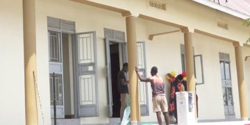 Kasese Residents Decry Rising Attacks from Stray Wildlife