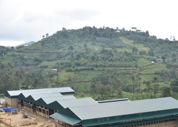 Gov’t Lights Up Mpungu Factory as Leaders Demand Tea Sector Bailout