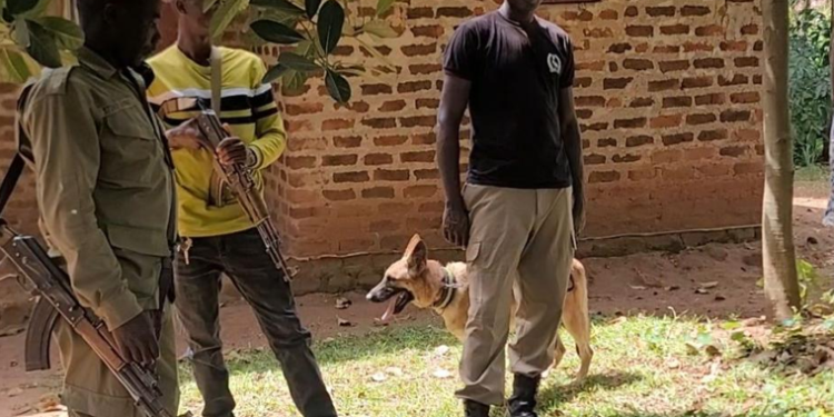 Busia Father Arrested for Allegedly Beating Son to Death
